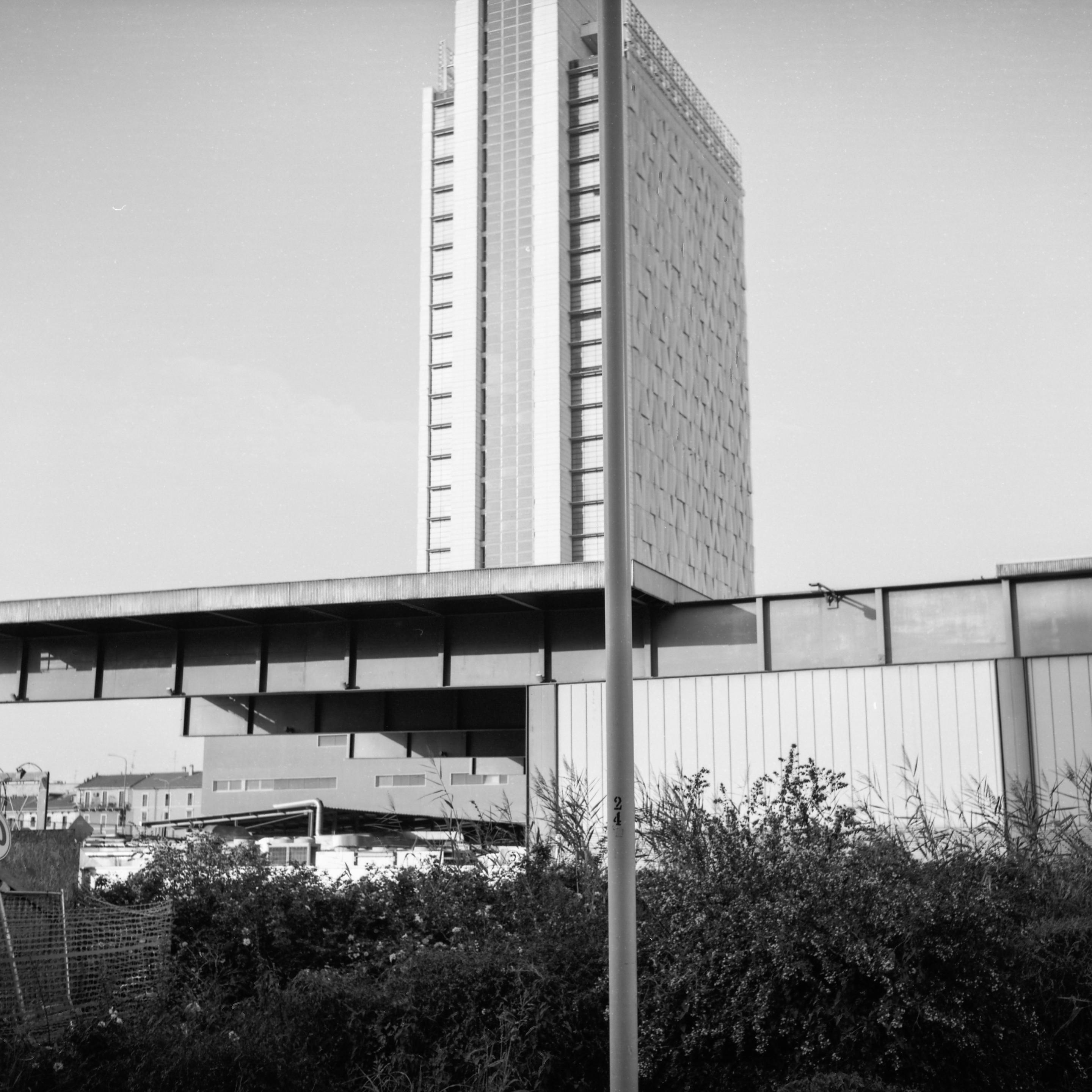 Ein Lampenmast steht etwas rechts der Mitte eines quadratischen Fotos. Dahinter ist ein Strauch zu sehen und wiederum dahinter steht ein Hochhaus.