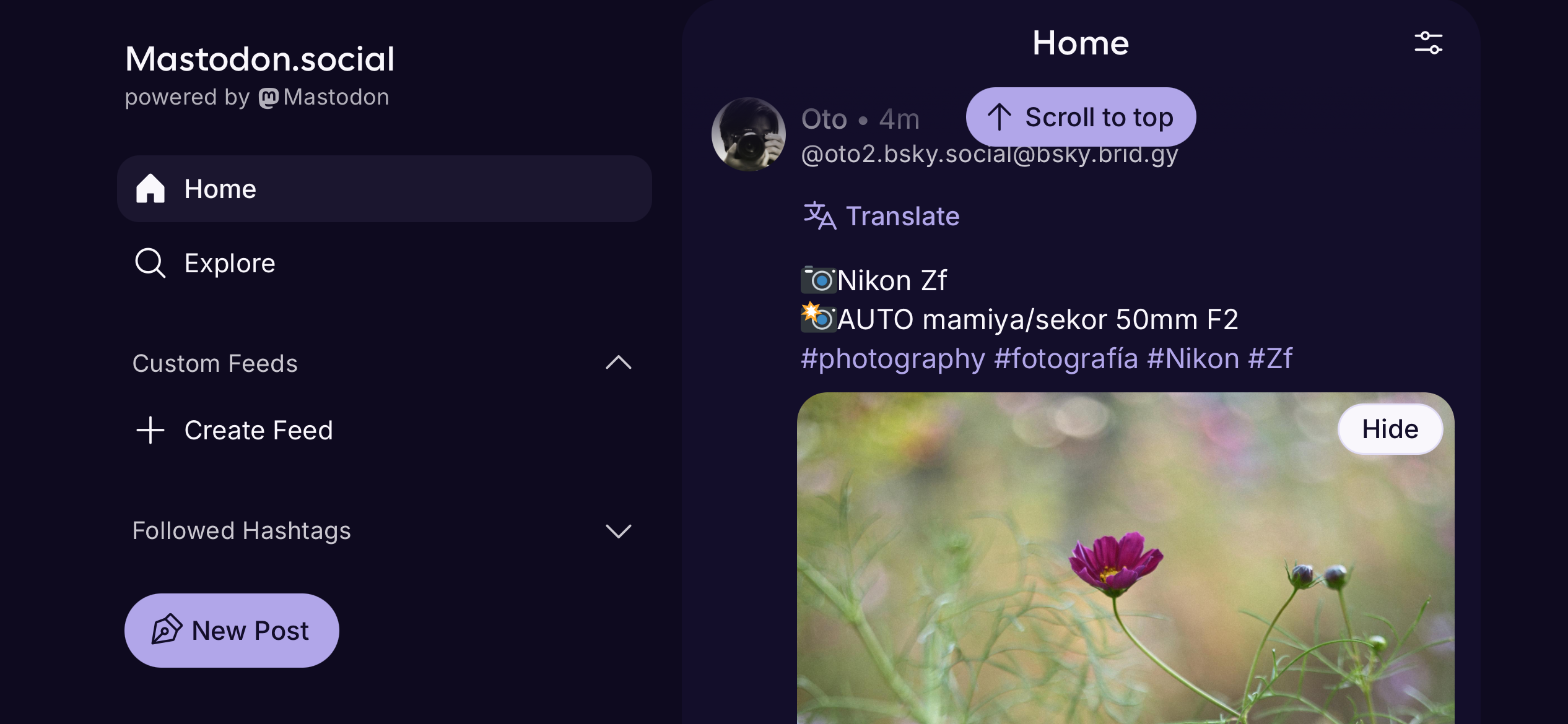 Screenshot of how Mastodon 5 looks on my landscape held iphone