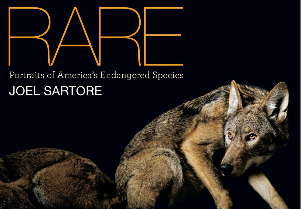 When a few of these photographs first appeared in the National Geographic magazine January 2009 issue, they were hailed as an arresting reminder of the hundreds of species teetering on the brink of final extinction—more than 1,200 animals and plants in all.

This book will give readers not only a broader understanding of the history and purpose of the Endangered Species Act, but also an intimate look at the very species it seeks to preserve. With stunning up-close portraits on every page, this important volume evokes sympathetic wonder at the vast and amazing array of plants and animals still in need of protection.