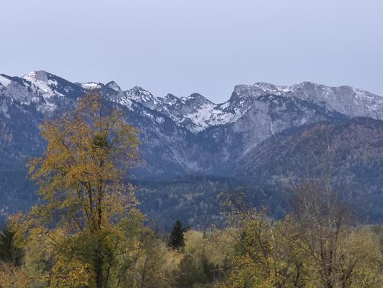 A mountain range with snow-capped peaks rises majestically in the background under a clear blue sky. In the foreground, trees display their autumn foliage in a beautiful mix of green and golden yellow, framing the alpine panorama. The crisp contrast between the fresh snow on the distant summits and the warm glow of the fall leaves below captures that magical moment when two seasons meet in the mountains — a sunny, invigorating day where autumn colors and wintry peaks share the same breathtaking…