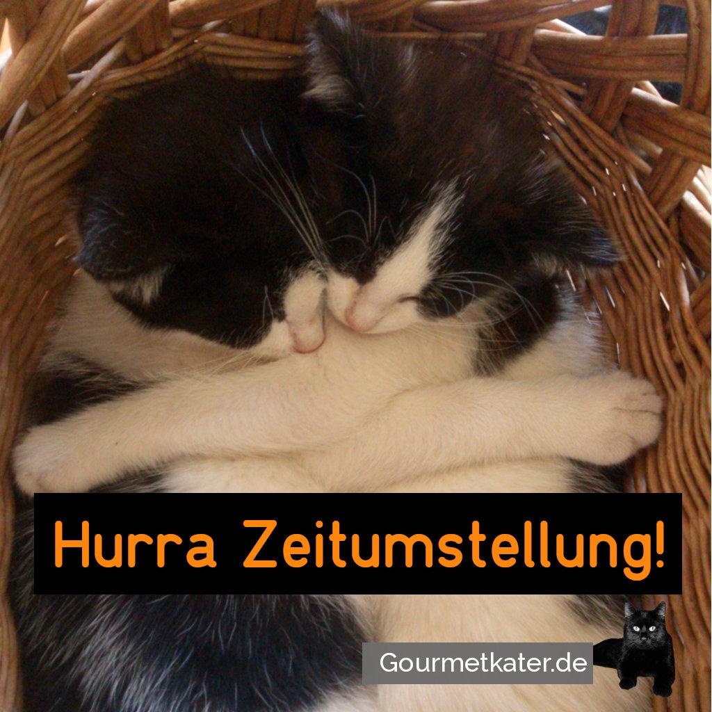 Nicht vergessen: Normalzeit!