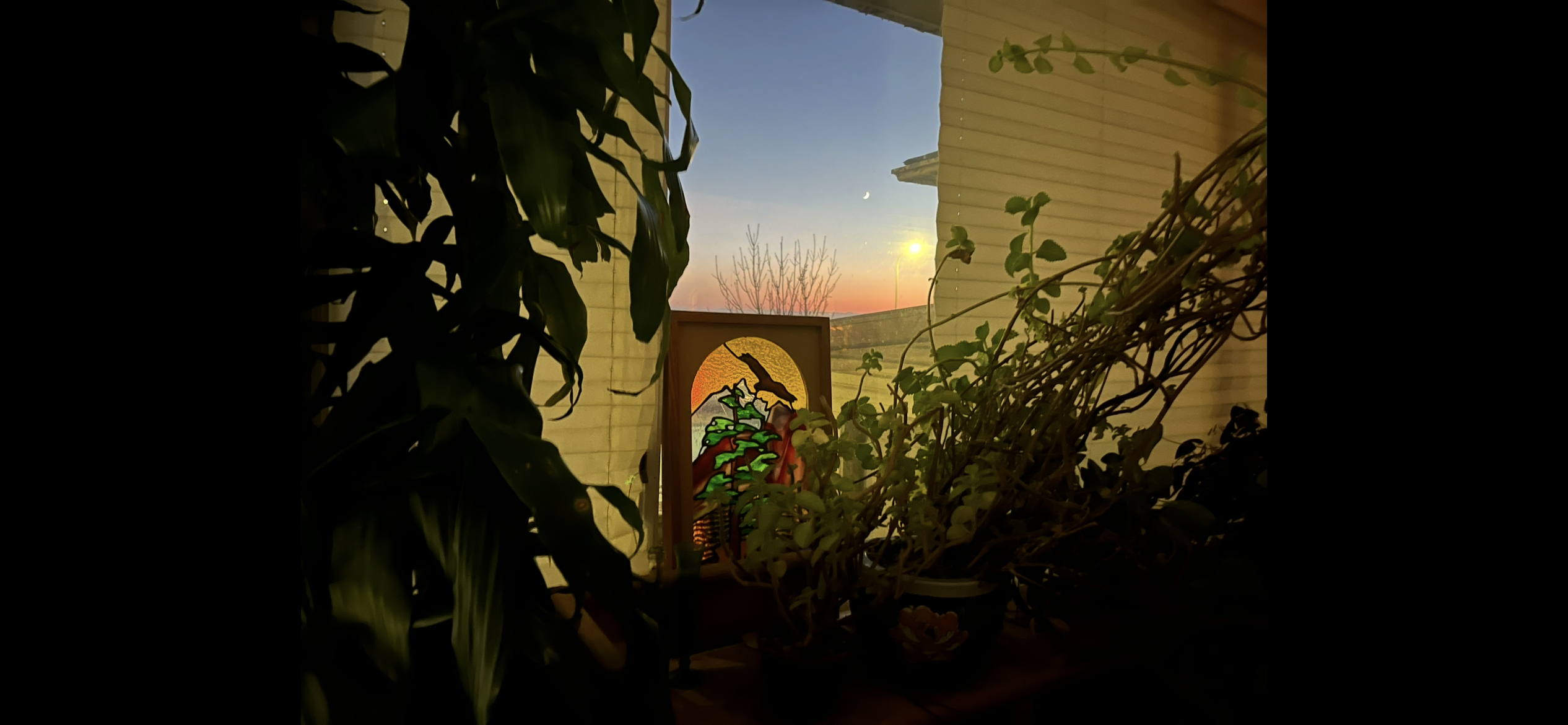 A winter view out my plant filled window with sun and moon seen in sky, and the red and orange below the sunset band of chinook orange is stained glass with an open winged bird against Sol.